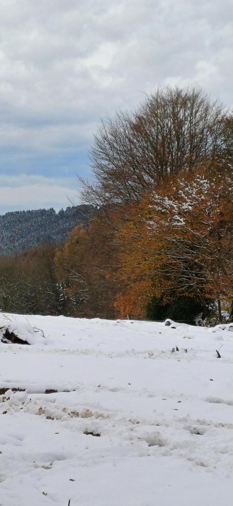 L'Ecureuil - Terrasses De Malmedy Villa Bagian luar foto